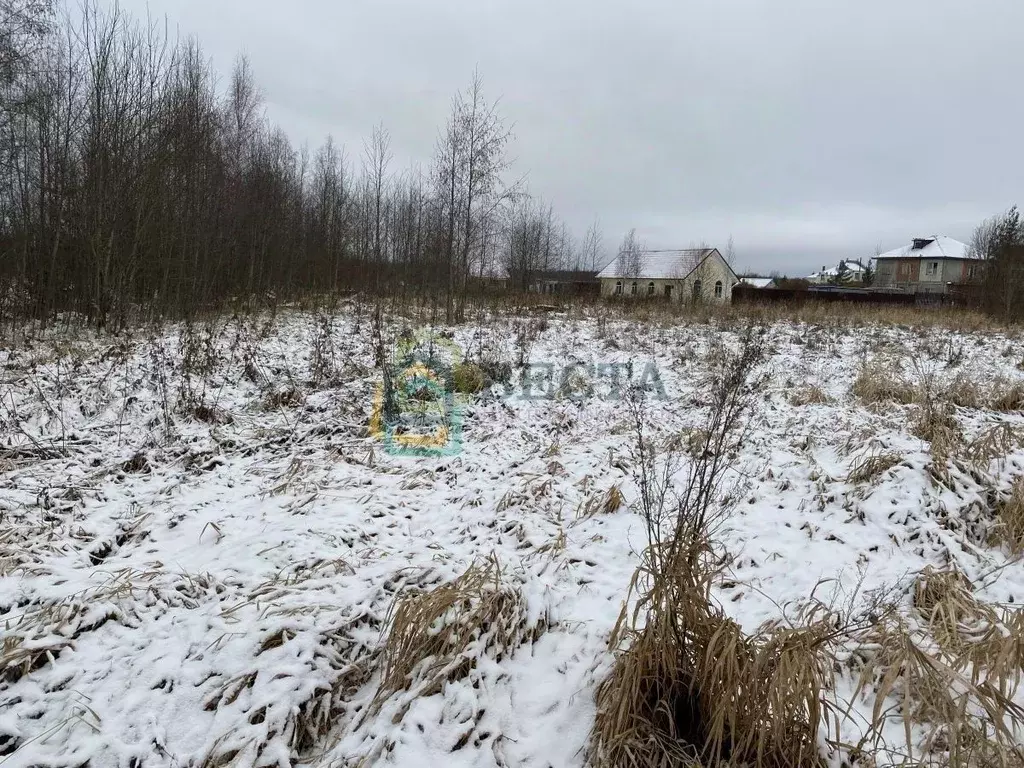Участок в Ленинградская область, Кириши  (10.0 сот.) - Фото 1