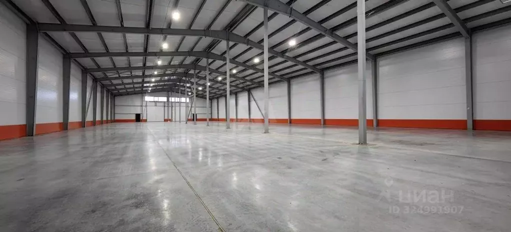 Склад в Московская область, Пушкинский городской округ, д. Талицы 58 ... - Фото 1