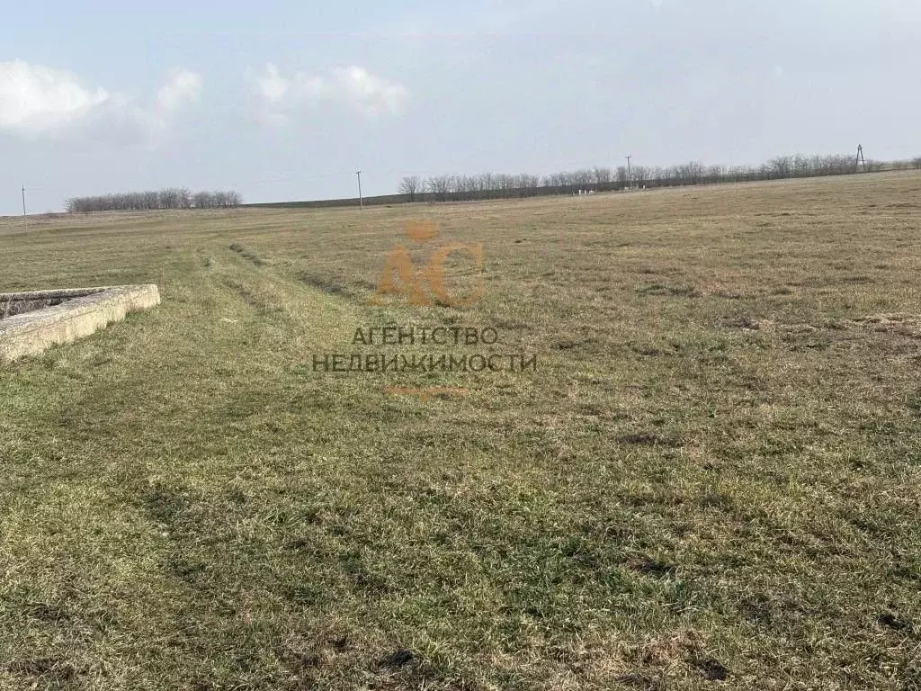 Участок в Крым, Кировский район, Синицынское с/пос, с. Васильковое ул. ... - Фото 1