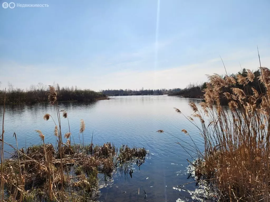 Дом в Великолукский район, Лычёвская волость, СНТ Дубрава ВЗВА, 132 ... - Фото 1