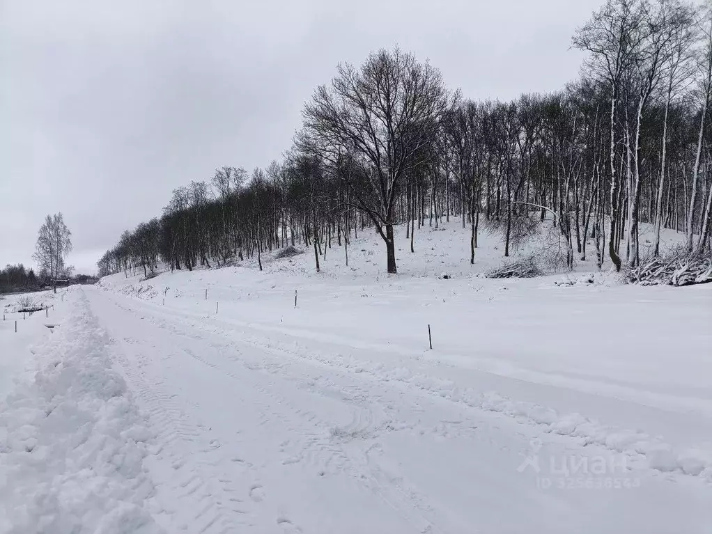 Участок в Московская область, Дмитровский муниципальный округ, д. ... - Фото 2