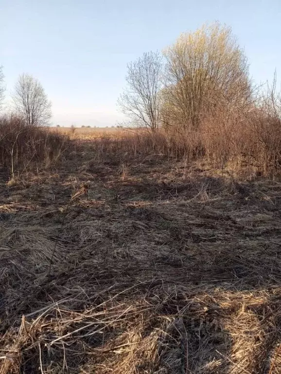 Участок в Кировская область, Яранское городское поселение, Садовые ... - Фото 1