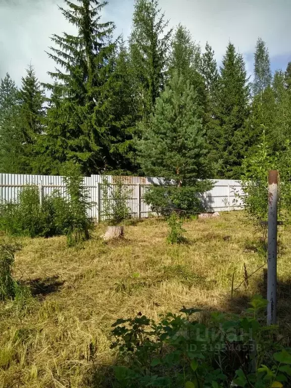 Дом в Ленинградская область, Гатчинский район, Вырица городской ... - Фото 1