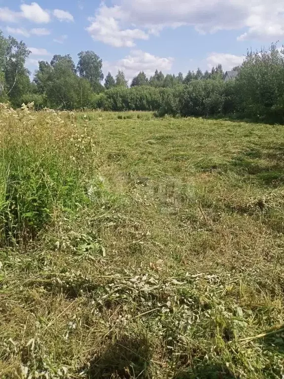 Участок в Курганская область, Шадринск Тюменская ул. (10.6 сот.) - Фото 2