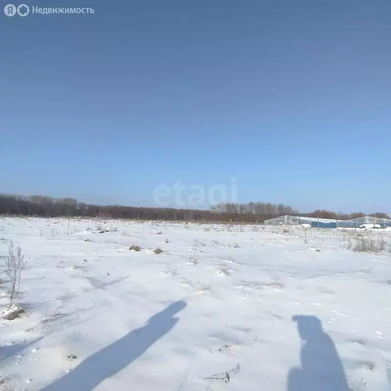 Участок в село Богана, Советская улица (60 м) - Фото 0