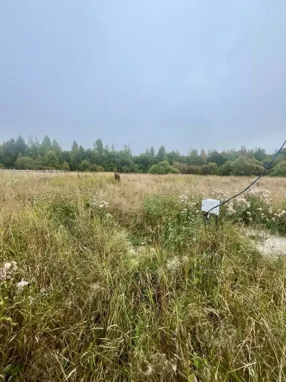 Участок в Карелия, Кондопожский район, Кончезерское с/пос, с. ... - Фото 1