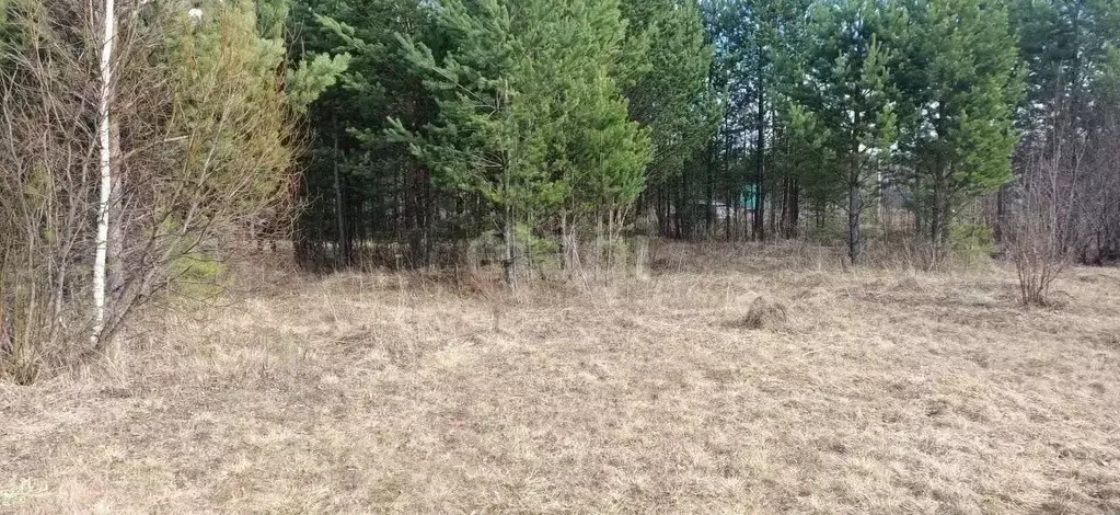 Участок в Свердловская область, Екатеринбург Уралсистем-Сад СНТ, 317 ... - Фото 1