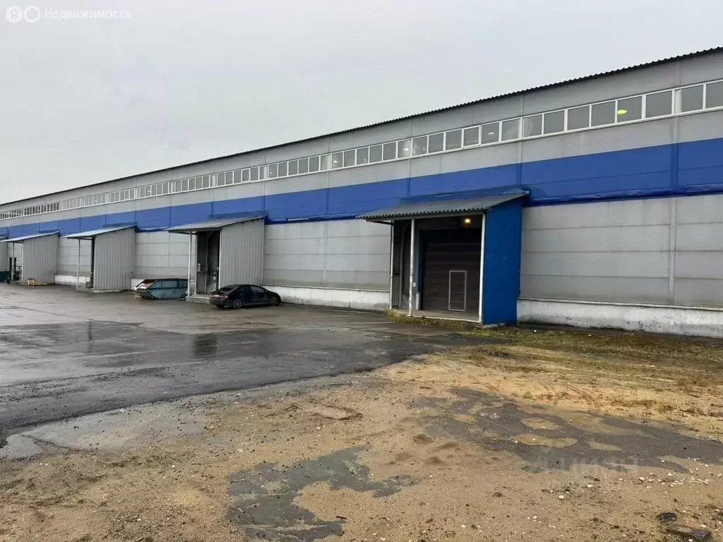 Склад (6500 м) - Фото 2