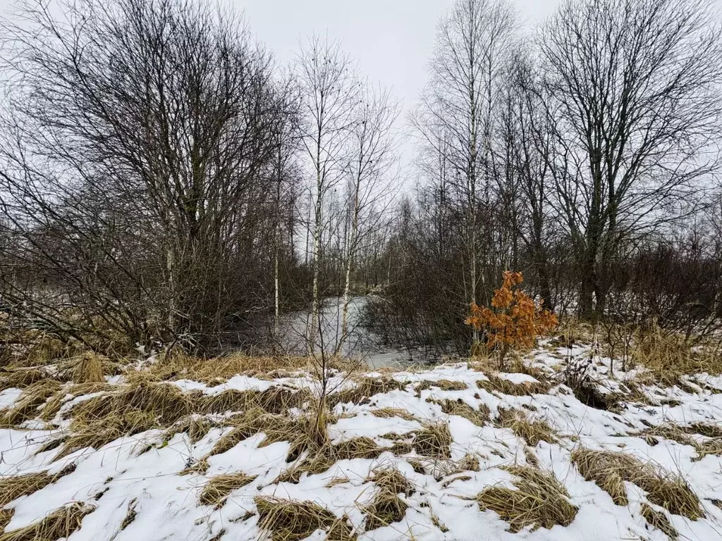 Участок в Смоленская область, Сафоновский муниципальный округ, д. ... - Фото 2