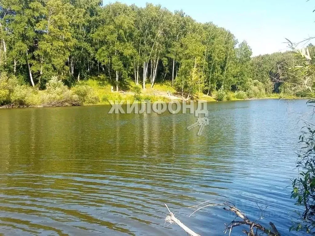 Дом в Новосибирская область, Новосибирский район, Барышевский ... - Фото 0