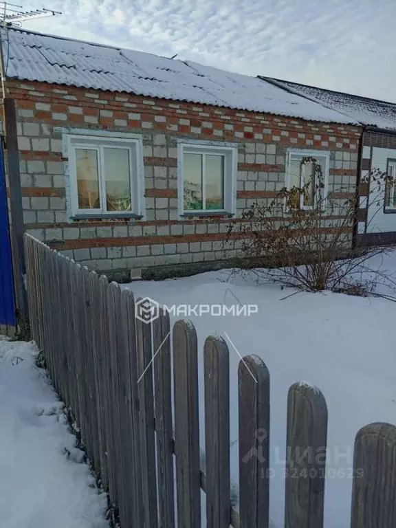 Дом в Новосибирская область, Чановский муниципальный округ, пос. Песцы ... - Фото 1