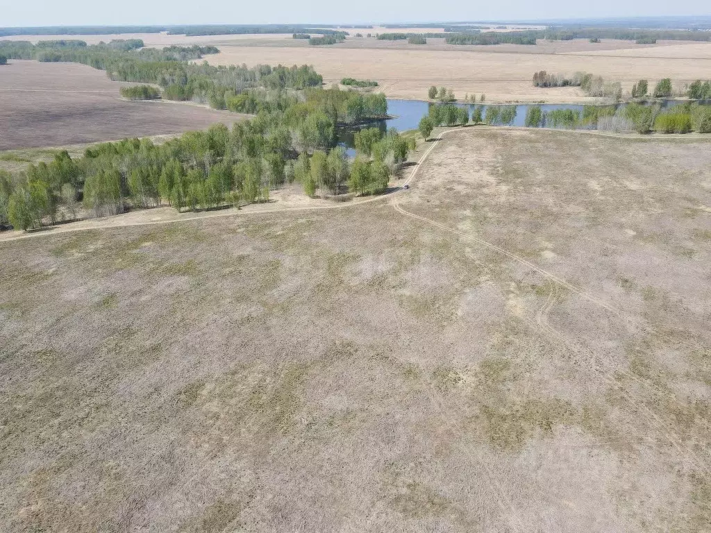 Участок в Тюменская область, Тюменский муниципальный округ, д. Большие ... - Фото 1