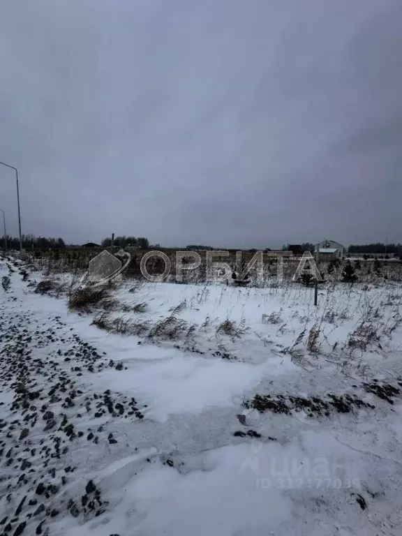 Участок в Тюменская область, Тюменский район, Новокаменский кп ул. ... - Фото 1