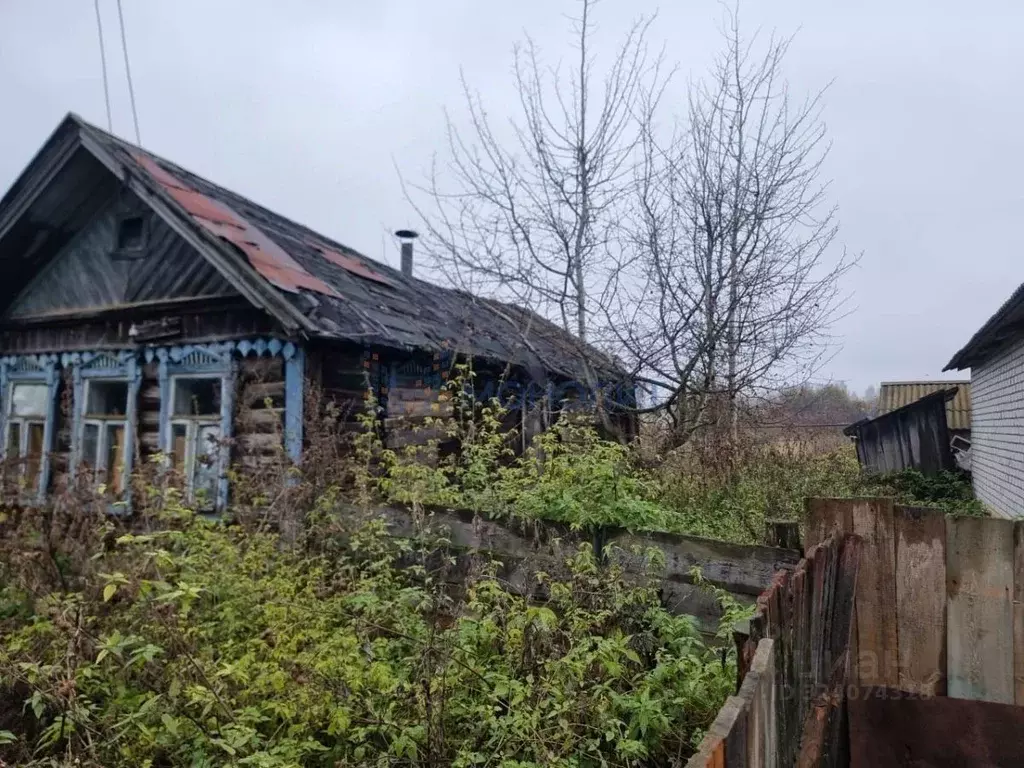 Участок в Нижегородская область, Лысковский район, с. Чернуха ... - Фото 2