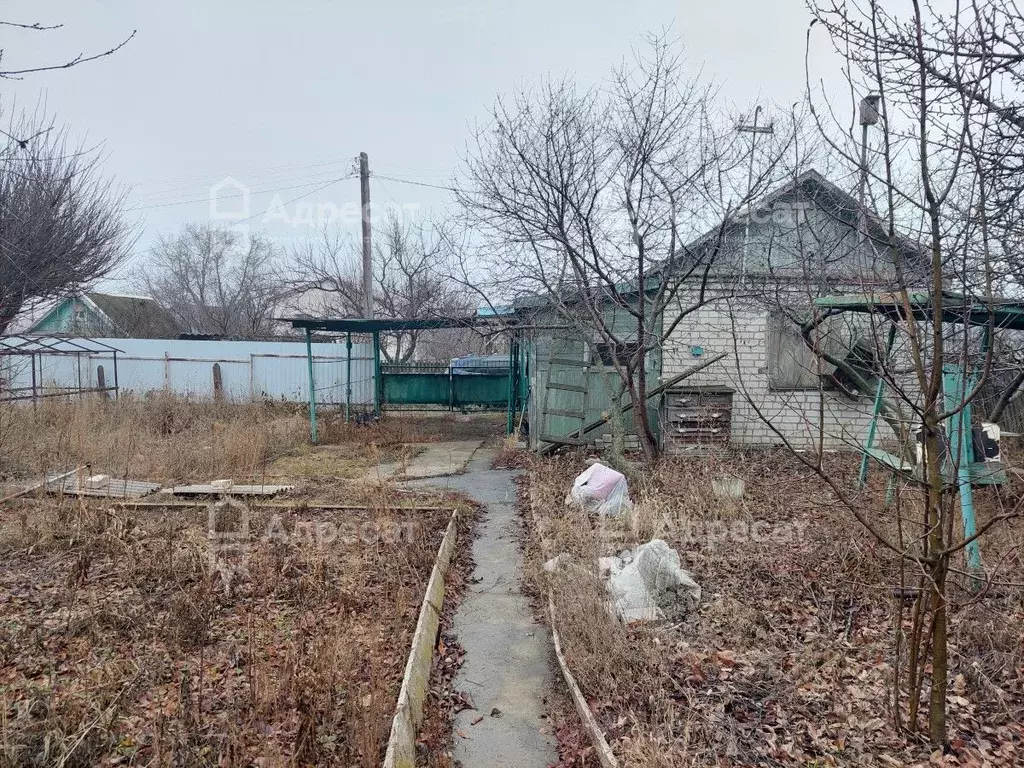 Дом в Волгоградская область, Волгоград Восход СНТ,  (24 м) - Фото 1