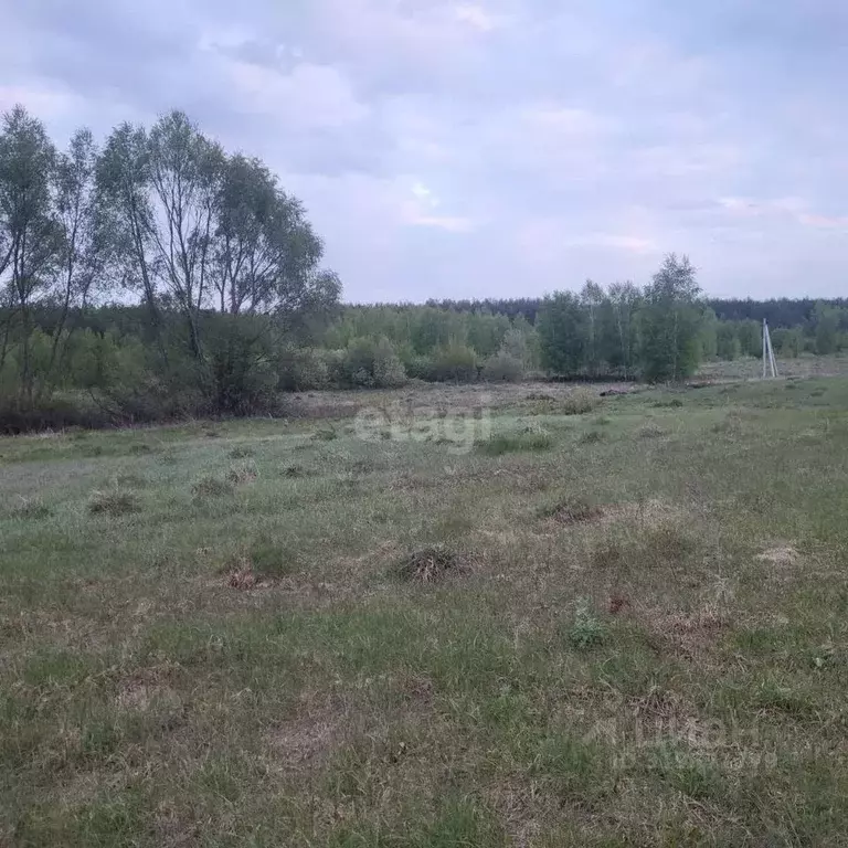 Участок в Владимирская область, Муром д. Коржавино, ул. Луговая (38.4 ... - Фото 1