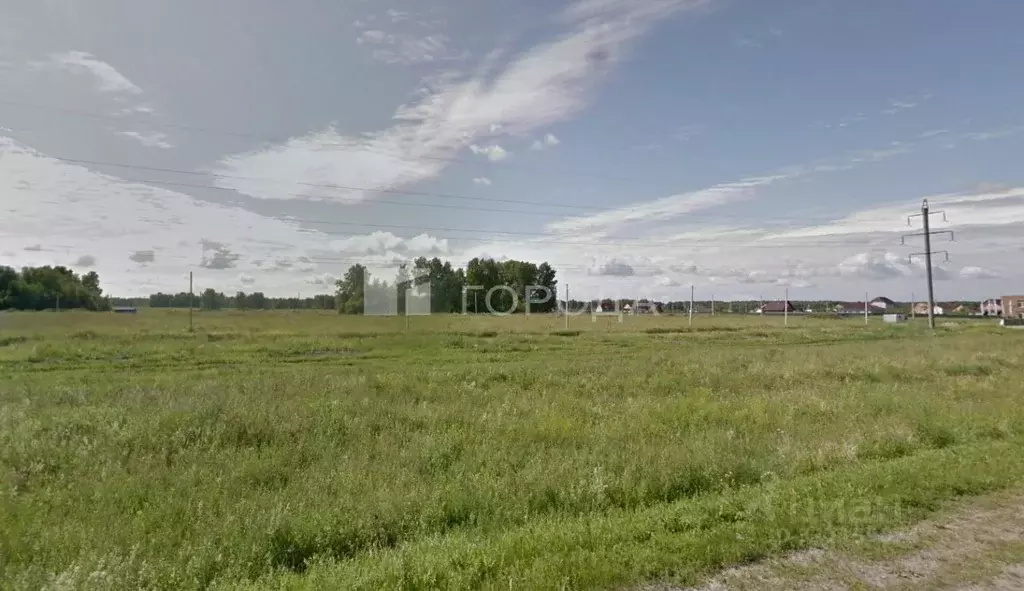 Участок в Новосибирская область, Новосибирский район, Березовский ... - Фото 0