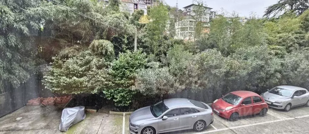 Студия Краснодарский край, Сочи Светлана мкр, ул. Серафимовича, 5 ... - Фото 1