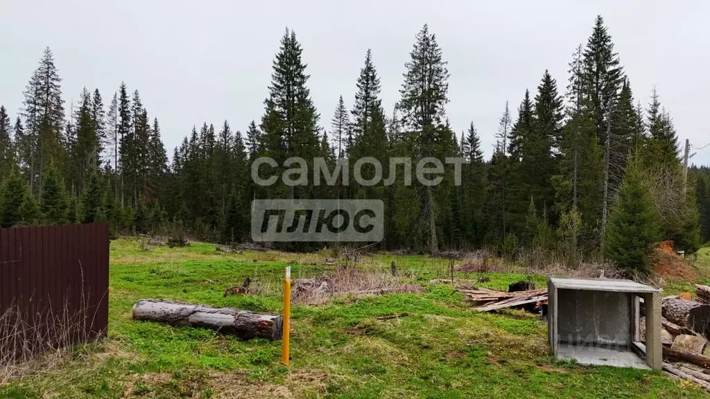 Участок в Челябинская область, Нязепетровск ул. Мира (15.0 сот.) - Фото 1