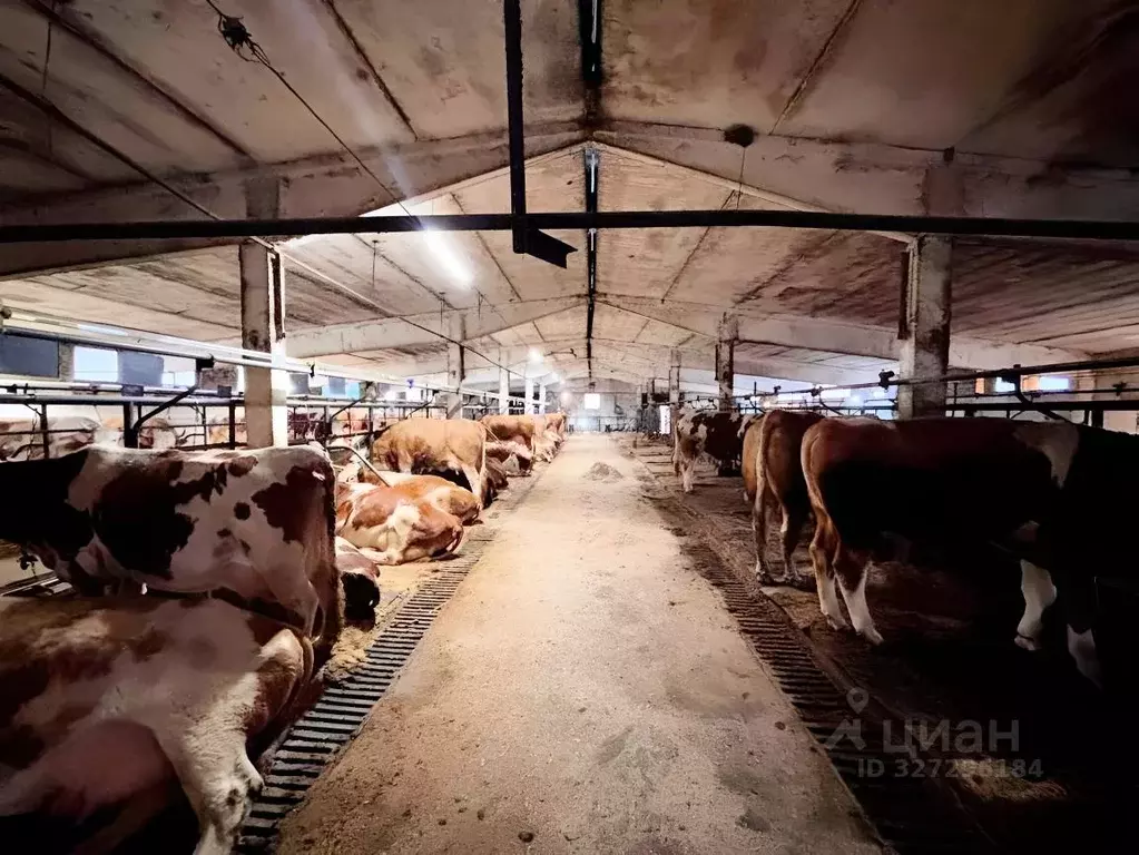 Помещение свободного назначения в Московская область, Наро-Фоминский ... - Фото 2