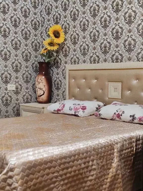 Студия Ставропольский край, Кисловодск ул. Чкалова, 50 (28.0 м) - Фото 2