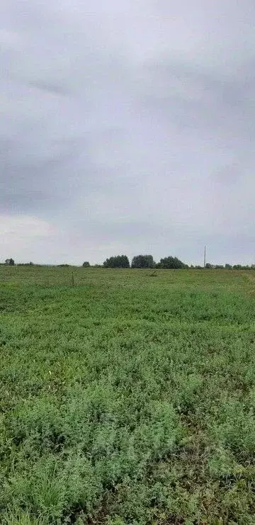 Участок в Чувашия, Чебоксарский муниципальный округ, д. Байсубаково  ... - Фото 0
