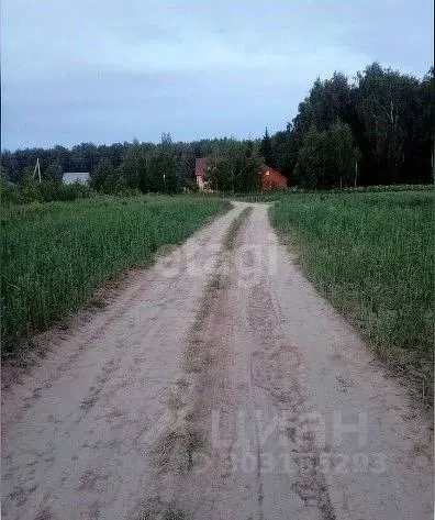 Участок в Свердловская область, Режевской городской округ, с. Першино ... - Фото 1