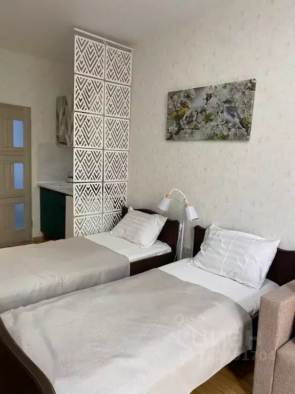 Студия Ставропольский край, Кисловодск Пограничная ул., 1 (20.0 м) - Фото 0