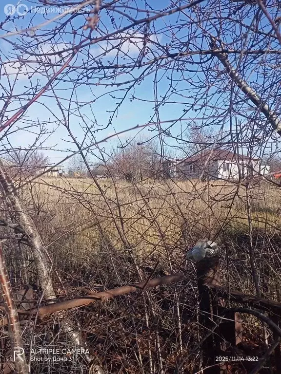 Участок в Белгородская область, Яковлевский муниципальный округ, СТ ... - Фото 2