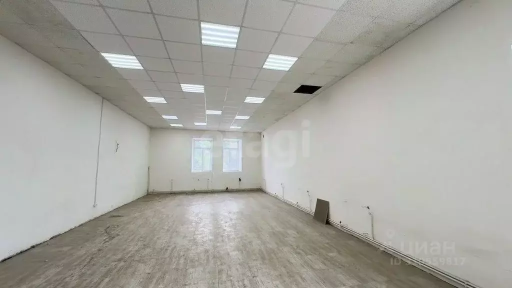 Торговая площадь в Воронежская область, Воронеж Кольцовская ул., 60/1 ... - Фото 1