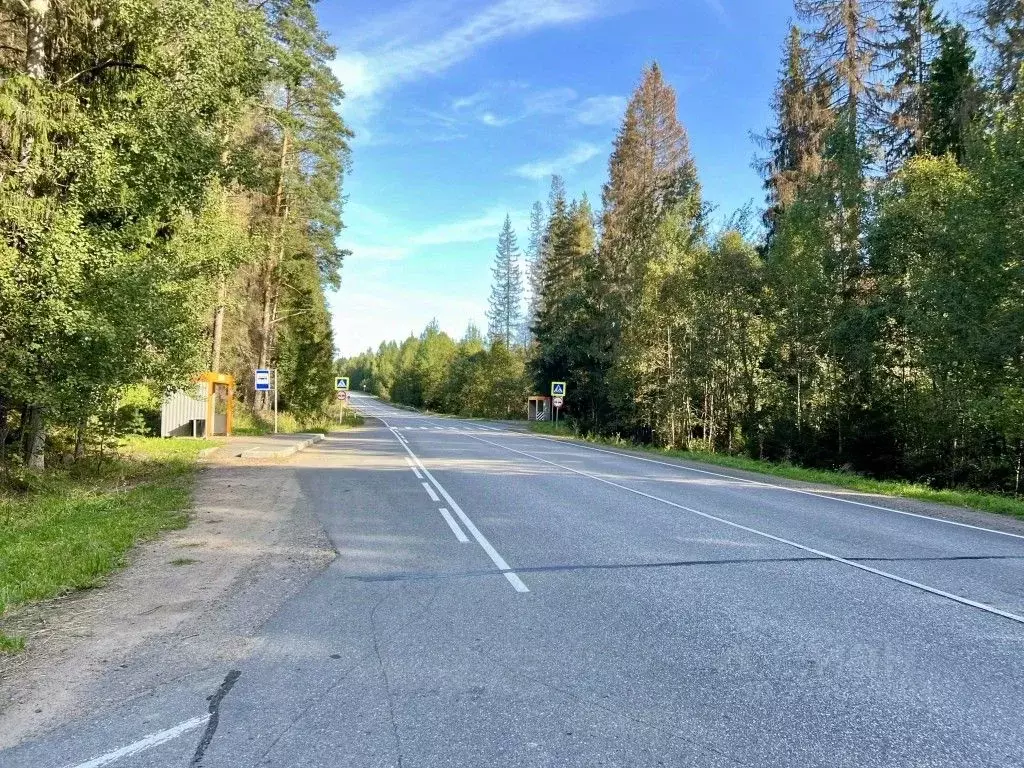Участок в Ленинградская область, Выборгский район, Полянское с/пос, ... - Фото 2