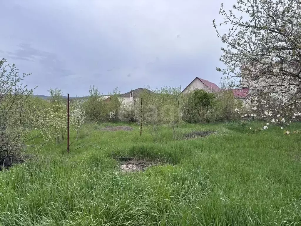 Участок в Краснодарский край, Новороссийск городской округ, Раевская ... - Фото 1