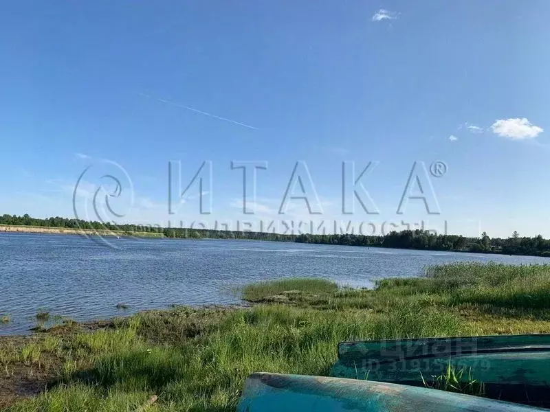 Участок в Ленинградская область, Лодейнопольский район, Янегское ... - Фото 1