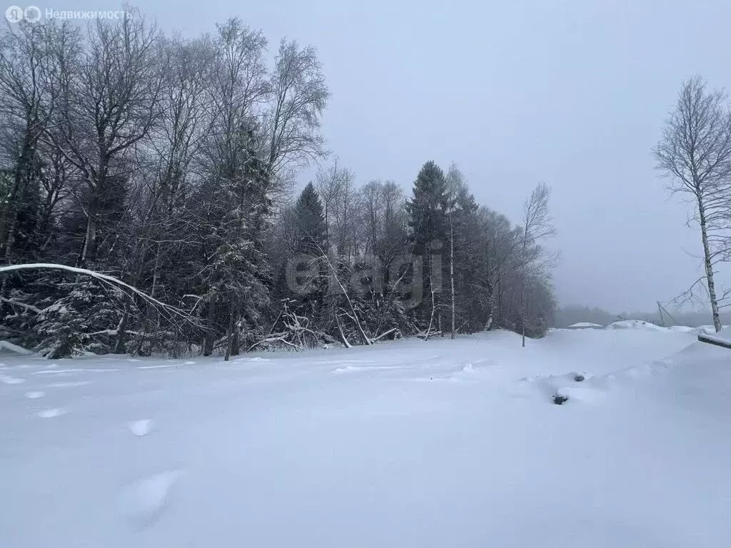 Участок в Вологодский муниципальный округ, посёлок Васильевское (11.9 ... - Фото 2