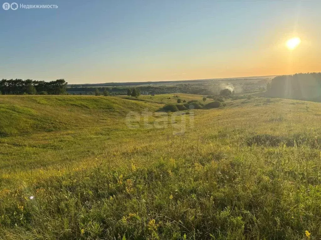 Участок в Лямбирский район, Берсеневское сельское поселение, деревня ... - Фото 1