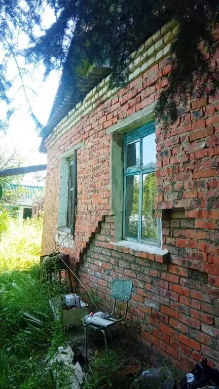 Дом 30,7м на участке 11сот. - Фото 1