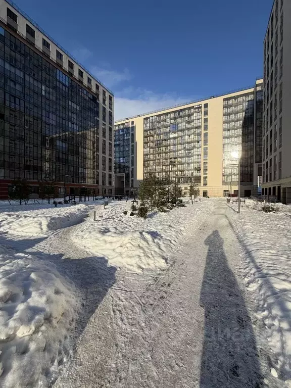 Студия Санкт-Петербург аллея Арцеуловская, 7к2 (23.41 м) - Фото 1