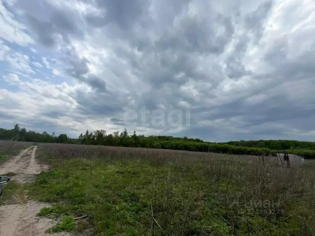 Участок в Тульская область, Тула городской округ, д. Малевка ул. ... - Фото 1
