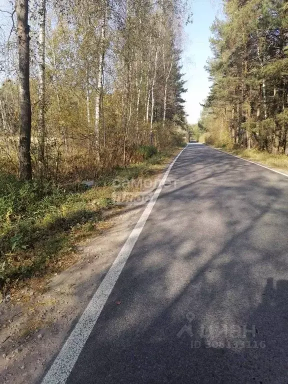 Участок в Калужская область, Калуга городской округ, с. Муратовка  ... - Фото 2