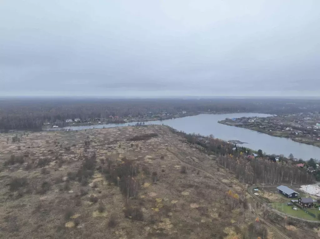 Участок в Московская область, Чехов городской округ, Филипповское кп ... - Фото 1