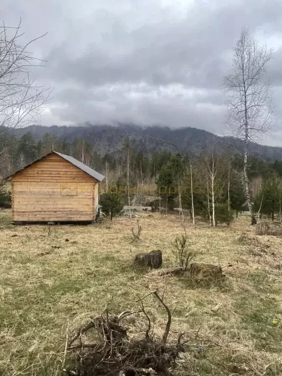 Участок в Алтай, Чемальский район, Узнезинское с/пос, с. Узнезя ул. ... - Фото 1