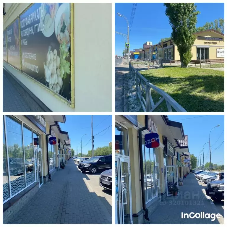 Помещение свободного назначения в Самарская область, Тольятти ... - Фото 2