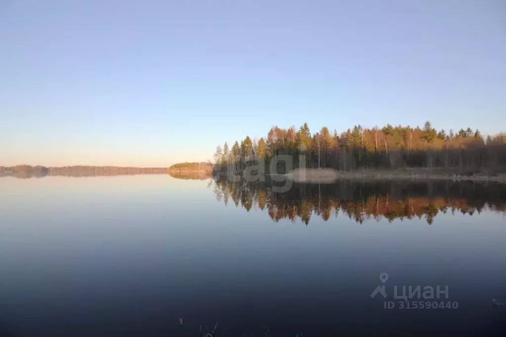 Участок в Вологодская область, Шекснинский район, Ершовское с/пос, д. ... - Фото 0