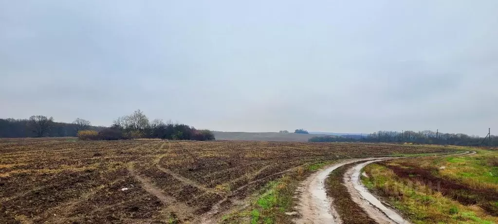 Участок в Краснодарский край, Северская ст-ца  (68.78 сот.) - Фото 2