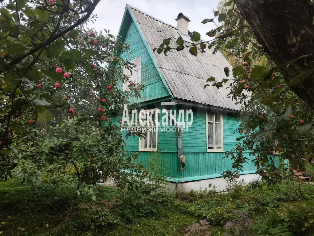 Дом 49 м на участке 11 сот. - Фото 1