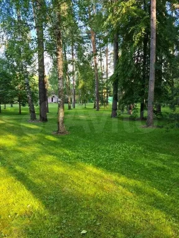 Участок 100 сот. (ИЖС) - Фото 0