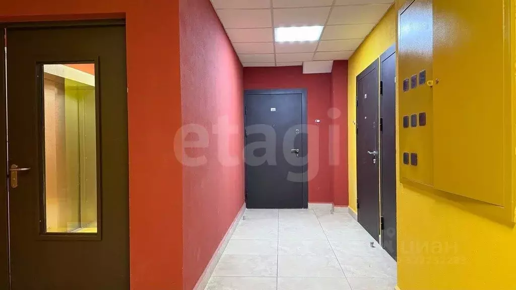 Студия Санкт-Петербург просп. Ветеранов, 175к4 (24.7 м) - Фото 2