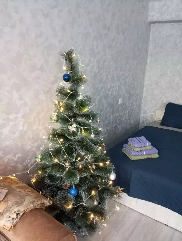 Студия Иркутская область, Байкальск г. Слюдянский район, Байкальское ... - Фото 2