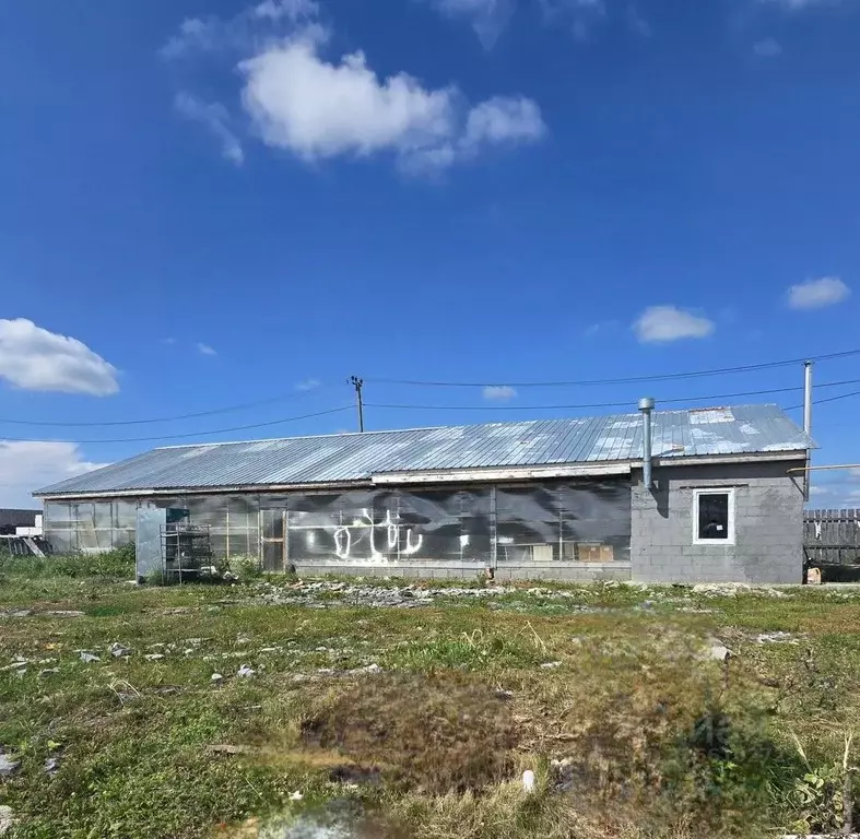 Дом в Свердловская область, Каменский муниципальный округ, с. Большая ... - Фото 2