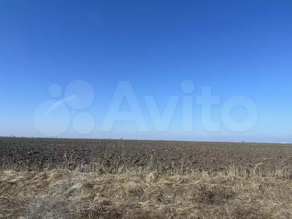 Участок 6 га (СНТ, ДНП) - Фото 0